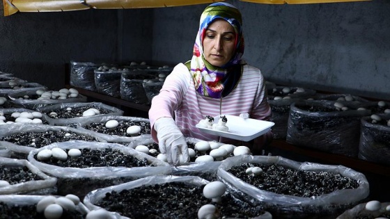 Köydeki evinde işinin patronu oldu