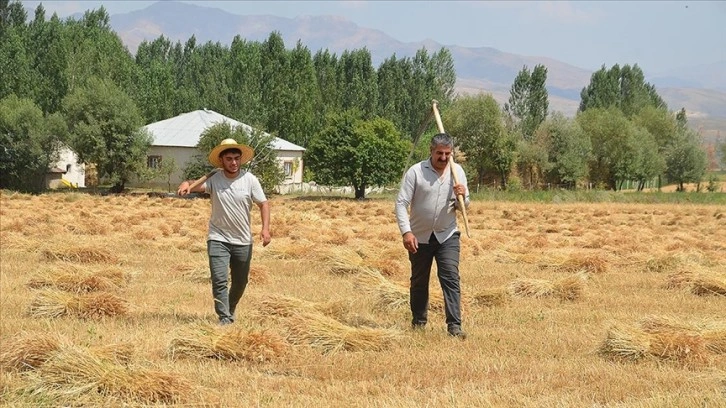 Köylerinde bir yandan babalarına destek olan Hakkarili iki öğrenci azmedip tıp kazandı