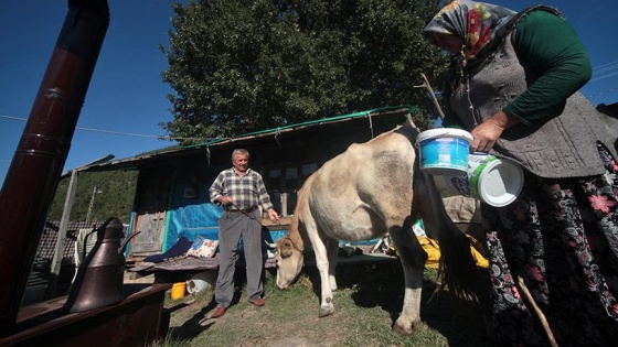 Köyü boşaltılan ailelere '130 milyonluk' iskan desteği