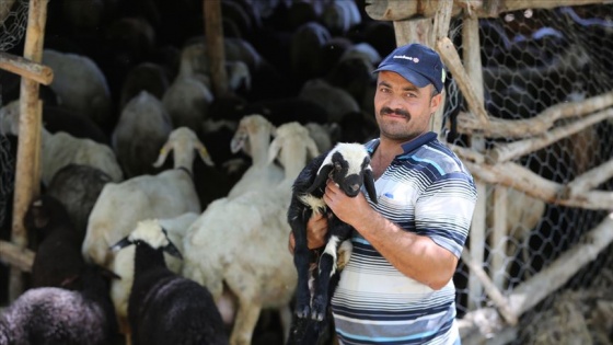 Köyüne dönerek kazancını da huzurunu da artırdı