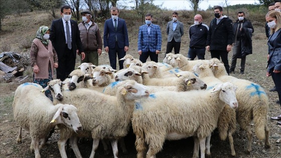 Koyunları kurt saldırısında telef olan aileyi Bakan Pakdemirli sevindirdi