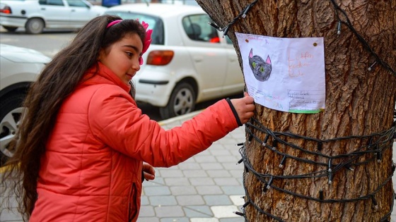 Küçük Asya kaybolan kedisini çizdiği resimlerle arıyor