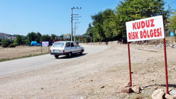 Kuduz hastalığından tedavi gören genç kurtarılamadı