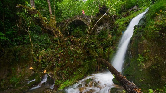 Kültür ve doğanın buluştuğu park