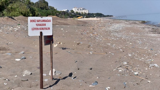 'Kumsala çıkan deniz kaplumbağalarını ürkütmeyin'