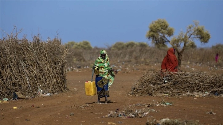 Kuraklıkla boğuşan Somali'den yardım çağrısı