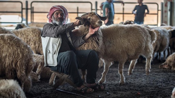 Kurban fiyatları düşebilir