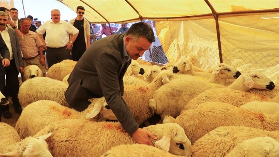 'Kurban pazarlarında her türlü tedbiri aldık'