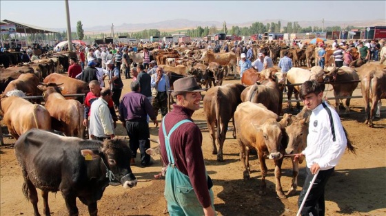 'Kurbanlık hayvan konusunda sıkıntı yok'