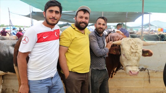 Kurbanlık satış merkezlerinde yoğunluk