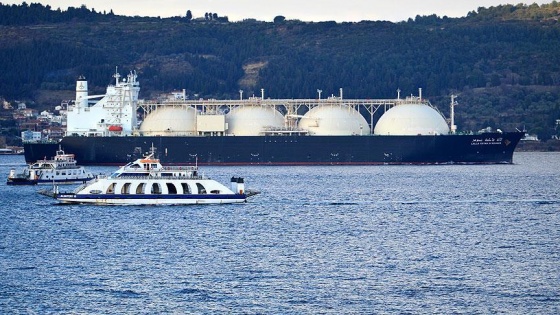 Küresel LNG ithalatında lider Japonya