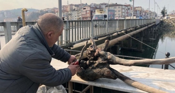 Kuru ağaç kökleri ve dallarından ev eşyası üretiyor