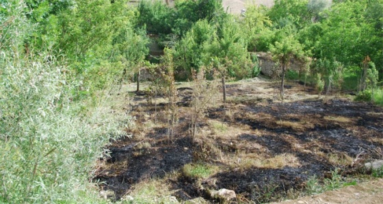 Kuru otları temizlemek isteyen yaşlı adam yanarak öldü