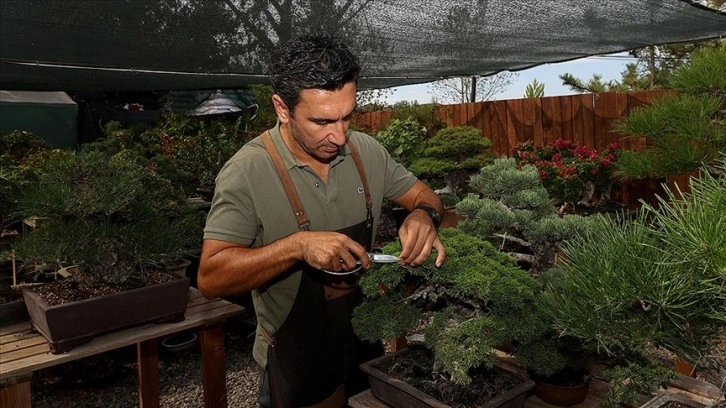 Kurumsal hayatını bırakıp estetikle botaniğin birleştiği bonsai yetiştiriciliğinde uzman oldu