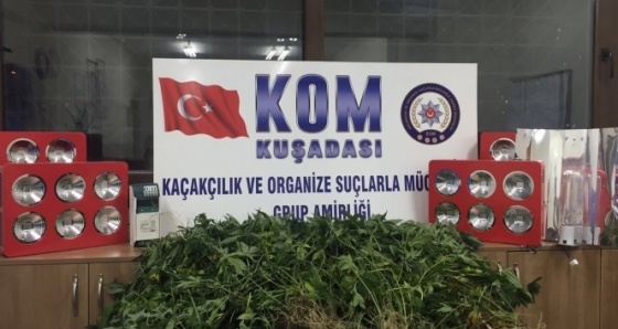 Kuşadası’nda uyuşturucu operasyonları