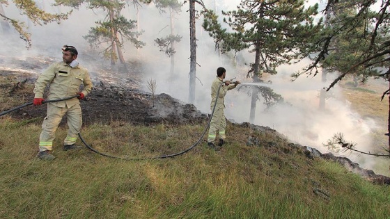 Kütahya ve Bilecik'teki orman yangınları kısmen kontrol altına alındı