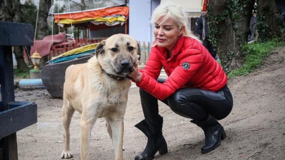 Kuyu yeniden doğalı 1 yıl oldu