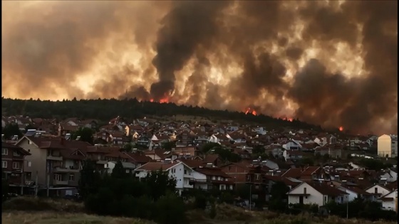 Kuzey Makedonya'da orman yangını