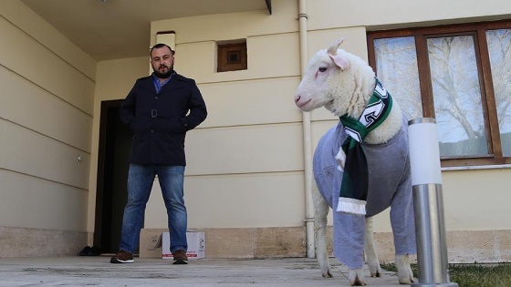 'Kuzu Alex' sosyal medyada ilgi görüyor