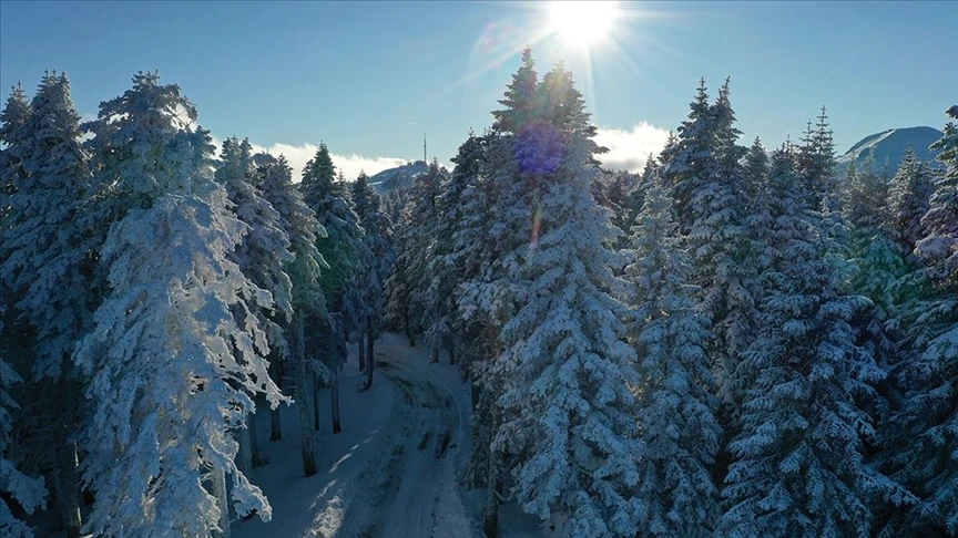 Ilgaz Dağı'nda karla kaplı ormanlara güneş eşlik etti