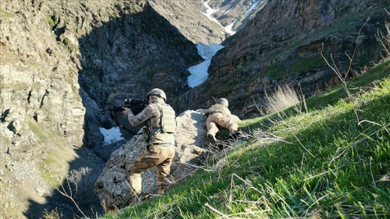 Lice'de geçen yıl etkisiz hale getirilen bir teröristin gri kategoriden olduğu belirlendi