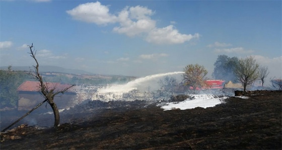 Lodos yangın çıkardı