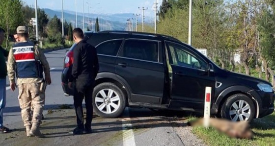 Lüks cip koyun sürüsüne daldı, 18 hayvan telef oldu