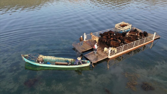 Mada Adası&#039;ndaki Yörükler yaylaya kayıklarla çıkıyor