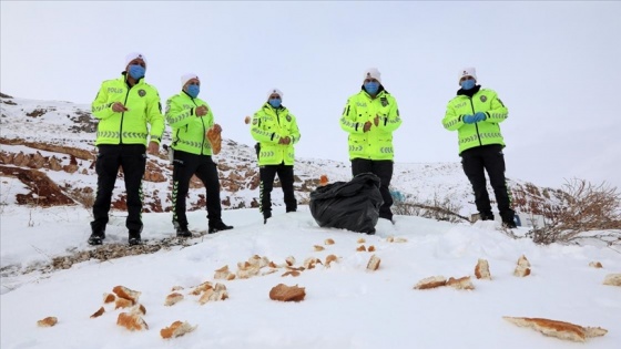 Malatya'da polisler, yaban hayvanları için doğaya yem ve ekmek bıraktı