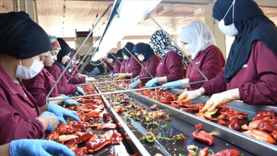 Malatya'dan Avrupa ülkeleri ve ABD'ye dondurulmuş gıda ihracatı