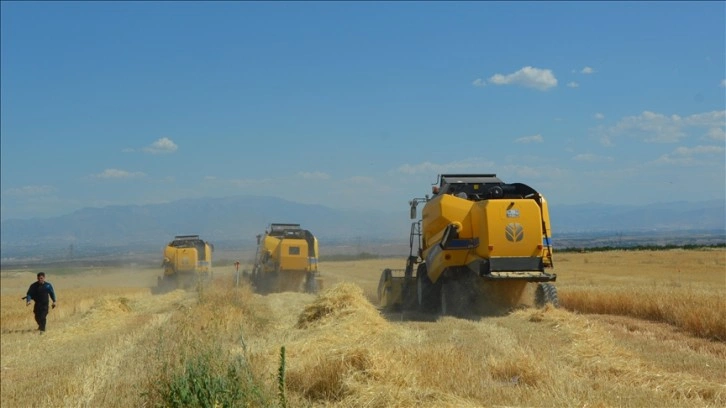 Malatya'da yılın ilk buğday hasadı yapıldı