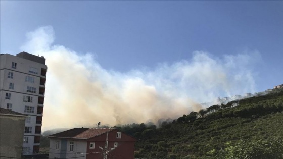 Maltepe'de ormanlık alanda yangın