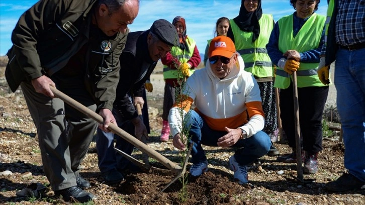 Manavgat'ta yanan ormanlık alana 20 bin fidan dikimi