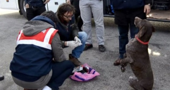 Manisa'da jandarma uyuşturucuya geçit vermedi