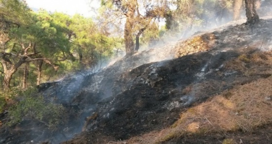 Manisa'da yangın paniği