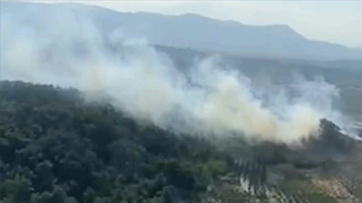 Manisa'daki 2 orman yangını kontrol altına alındı