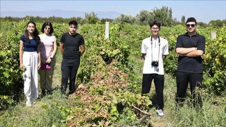 Manisalı öğrenciler bağlardaki hastalık ve zararlıları tespit için yazılım geliştirdi