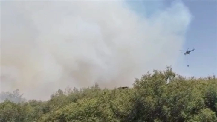 Manisa'nın Kula ilçesinde çıkan orman yangınına müdahale ediliyor