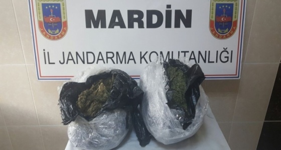 Mardin’de esrar operasyonu: 1 gözaltı