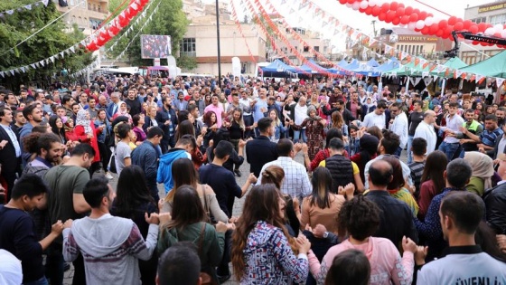 Mardin'de 'Harire Şenliği' düzenlendi