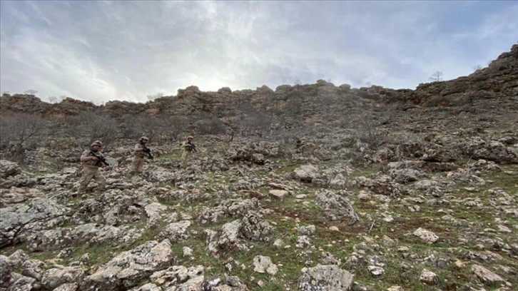 Mardin'de 'Eren Kış-33 Şehit Jandarma Er Harun Lal Operasyonu' başlatıldı