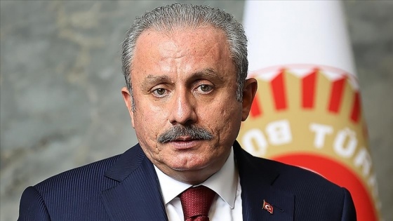 'Mareşal Fevzi Paşa emekli olduktan sonra politikayla aktif olarak ilgilenmiştir'