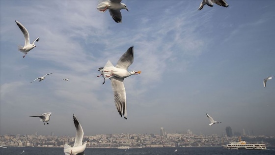 Marmara Bölgesi'nde az bulutlu ve açık hava bekleniyor