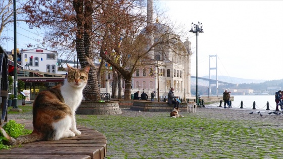 Marmara Bölgesi'nde hafta sonu sıcaklıklar mevsim normallerinin üzerinde olacak