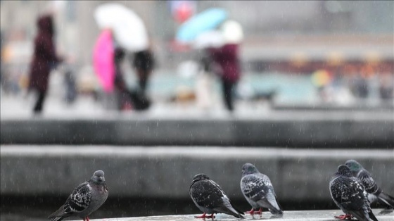 Marmara'da yağmur ve sağanak