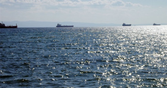Marmara Denizi’ndeki canlılar tehlike altında