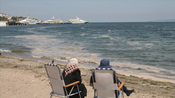 Marmara Denizi'ndeki müsilaj Çanakkale ve Bursa kıyılarında rüzgarın etkisiyle yüzeyde görülüyor