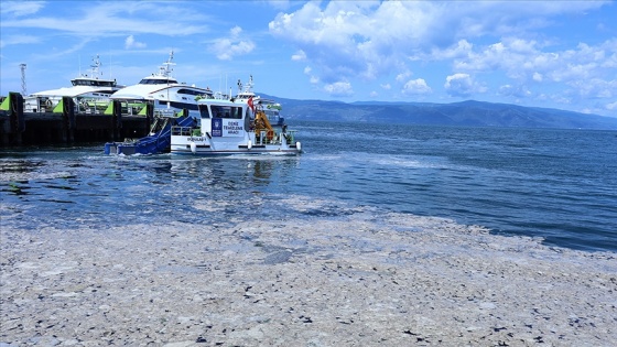 Marmara Denizi&#039;nden temizlenecek deniz salyasının tarımdaki kullanım alanları araştırılıyor