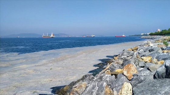 Marmara Denizi'nin müsilajdan kurtarılması için 'acil eylem planı'nın uygulanması önerisi