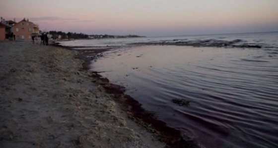 Marmaraereğlisi'nde deniz 10 metre çekildi